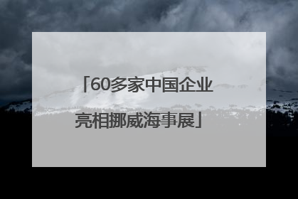 60多家中国企业亮相挪威海事展
